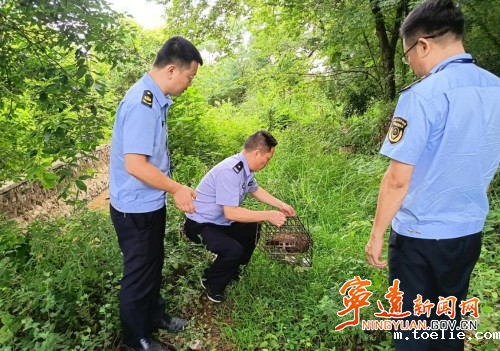 体育米兰森林公安局联合多部门开展野生动物保护宣传和执法检查行动_副本500.jpg 体育米兰森林公安局联合多部门开展野生动物保护宣传和执法检查行动_副本500.jpg